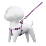 COLLAR PARA PERRO FIERRO C / PECHERA 44294 PARA MASCOTA